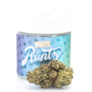 Buy White Runtz Online store