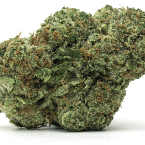 Buy Jack Herer strain