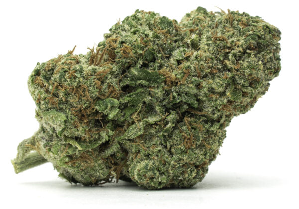 Buy Jack Herer strain