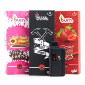 Buy 3g Disposable Vapes (Burn)