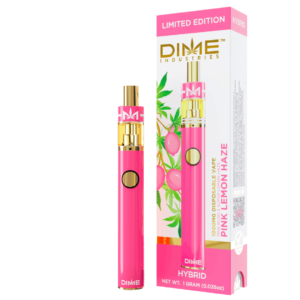 DIME Disposable Vape Pen and Cartridge Set 1 gram