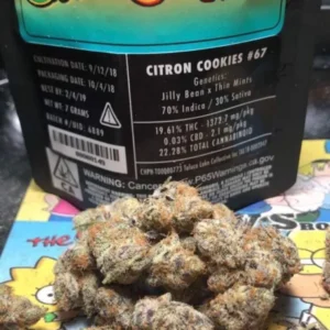 Jungle Boys Citron Cookies ONLINE