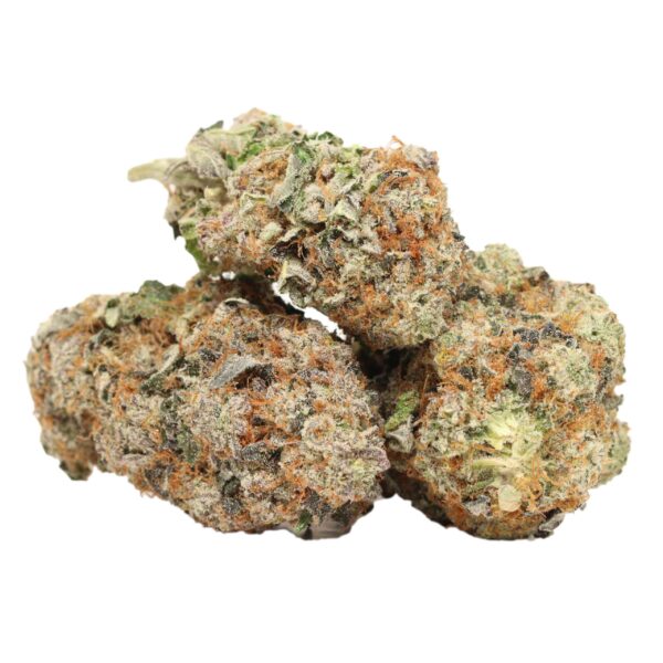 "Blissful Wizard hybrid genetics"