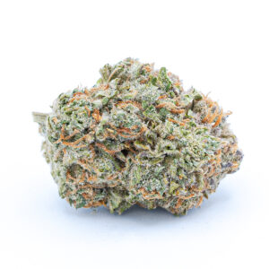 Buy Chocolope weed online