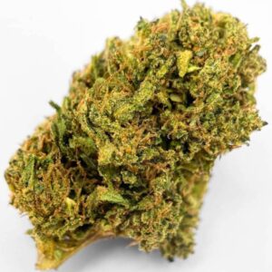 Buy G13 Haze online