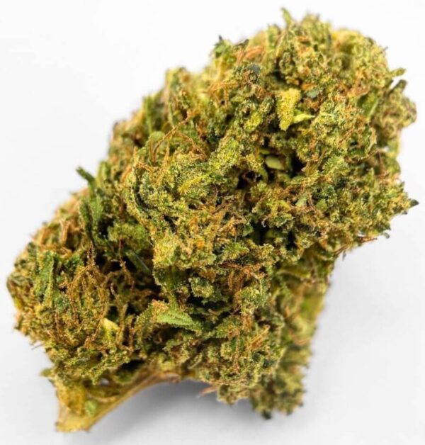 Buy G13 Haze online