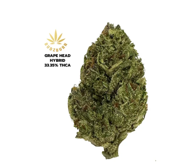 Buy Buy THCa Flower online - Image 2