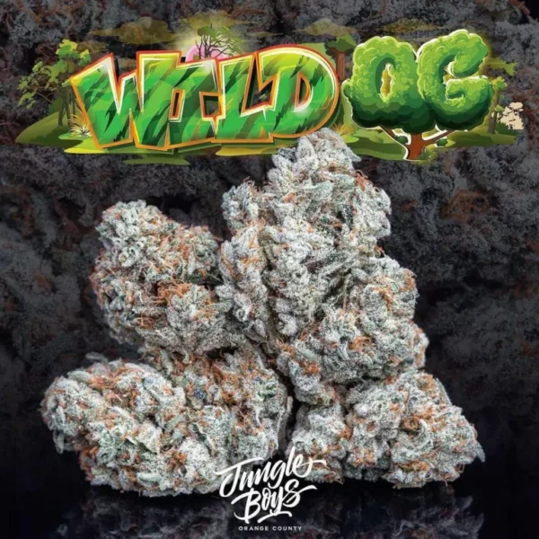 Jungle Boys Wild OG Strain online - Image 3
