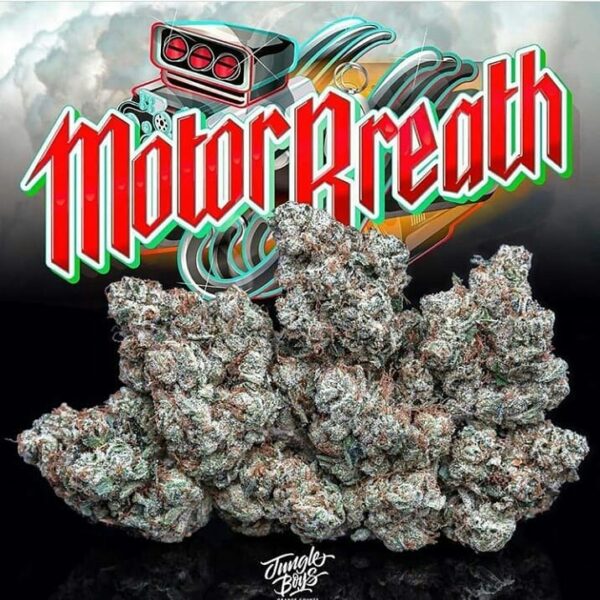 Buy Jungle Boys Motor Breath 3.5g Flower 