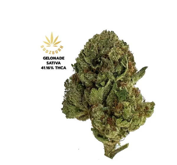 Buy Buy THCa Flower online - Image 3