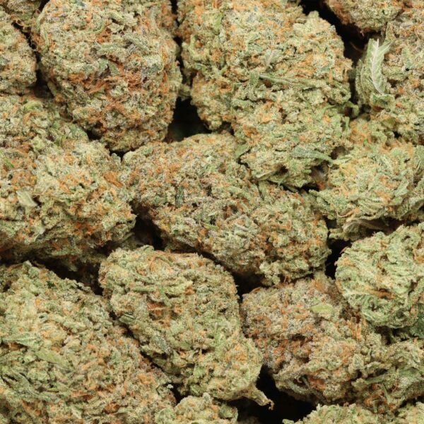 "Premium Tuna Kush AAAA+ Indica Strain - Image 3