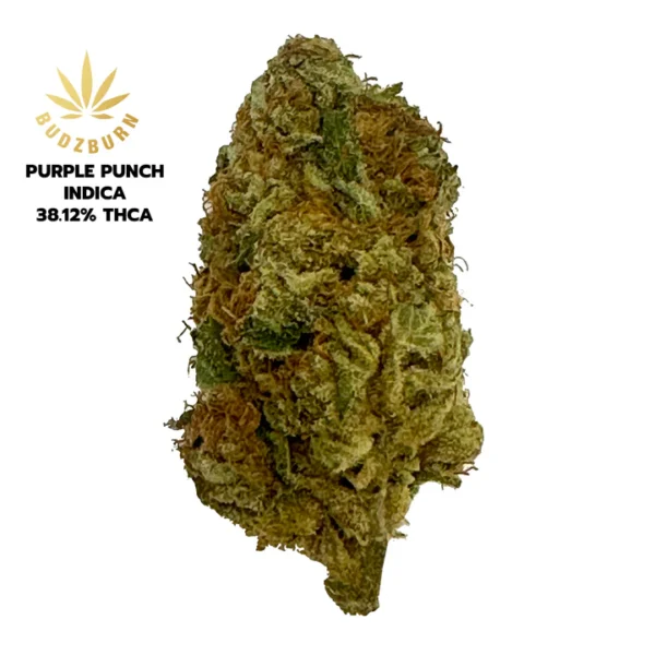 Buy Buy THCa Flower online - Image 4