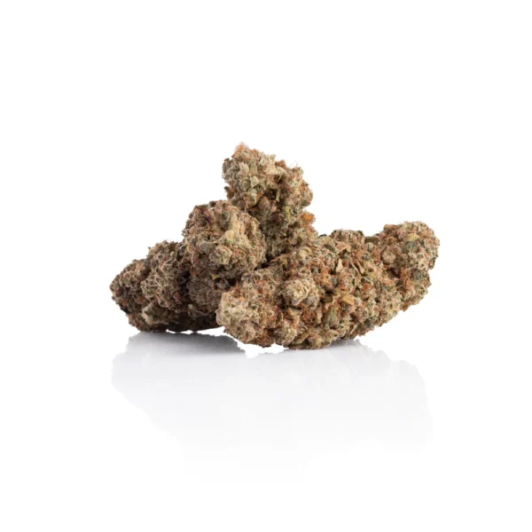 Best Gorilla Glue online - Image 5