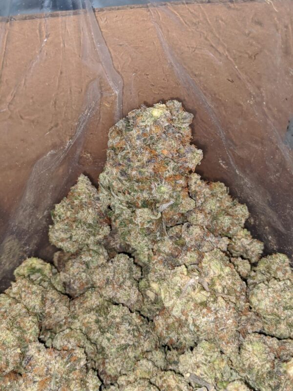 Best Pink Rozay online for sale - Image 5