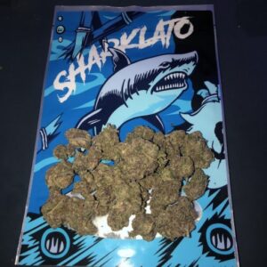 Best sharklato runtz online store