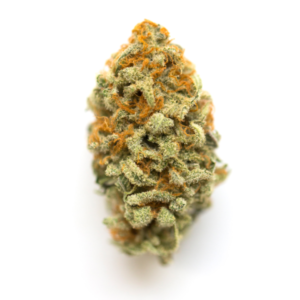 Buy Banana Hammock Strain