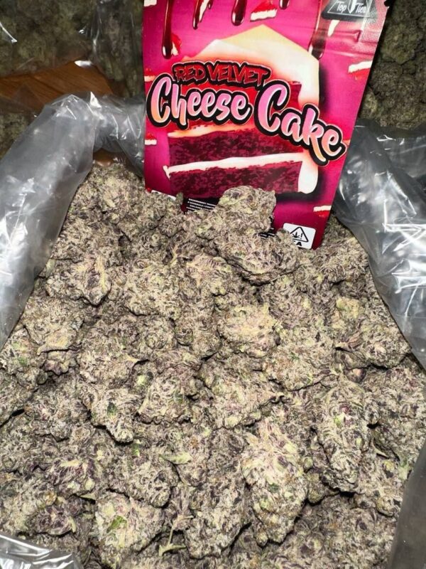 Buy Cheese Cake Strain Online – Best Dispensaries & Prices