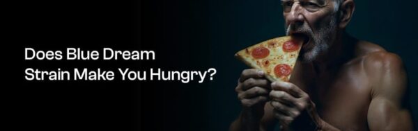 Does Blue Dream Strain Make You Hungry? Does Blue Dream Strain Make You Hungry? When it comes to cannabis strains, few are as popular as Blue Dream Strain. This strain has gathered a reputation for its delightful flavor, balanced effects, and, of course, its ability to make some people reach for snacks! However, you might be wondering, “Does Blue Dream really make you hungry?” At Colorado Breeders Depot, we decided to put the question to rest by doing our own research. Therefore, let’s start by understanding what Blue Dream is all about, its effects, and its flavors. We end the discussion on whether or not Blue Dream Strain is going to send you on a food hunt and tips to avoid munchies! What is Blue Dream? Blue Dream is a noteworthy sativa-dominant hybrid strain created by the magical combination of Blueberry and Haze. This means that it brings together the sweetness of Blueberry with the invigorating zest of Haze. The result is a well-rounded strain that provides a mixture of mental stimulation and physical relaxation. You end up feeling happy and creative while also being completely relaxed, as this is what Blue Dream aims to deliver! The Happy and Relaxed Effects of Blue Dream When people use Blue Dream, they often report feeling creative, euphoric and uplifted. Many enjoy it while working on art, writing, or even just hanging out with friends. It’s a fantastic strain for those times when you want to feel good and relax without feeling weighed down. However, it’s important to use Blue Dream in moderation. This strain is quite powerful, which means you might end up feeling too high (and possibly hungry!) if you overindulge. With 1.15 mg/g CBD levels, this strain can actually help balance the intense craving for snacks that comes with many other strains. Blue Dream’s Flavor Profile One of the best parts about Blue Dream is its flavor. Our customers often describe its taste as fruity, sweet, and berry-like. Imagine biting into a ripe blueberry or enjoying a delicious berry smoothie; that’s the flavor you can expect when trying this strain. It’s as if nature packed the taste of summer into each puff! What Are Terpenes, and Why Do They Matter? You might have heard of terpenes, but what exactly are they? Terpenes are naturally occurring compounds found in many plants, including cannabis. They contribute to the aroma and taste of different strains. indoor-blue-dream-strain Blue Dream Strain $25.00$16.25 blue-dream-strain-delta-8 Delta 8 Blue Dream Strain $35.00$22.75 In Blue Dream, the most abundant terpene is myrcene. This terpene has an herbal and earthy scent and is the most common terpene in cannabis. Next comes pinene, which smells like pine trees, and caryophyllene, which has a spicy, peppery aroma. Together, these terpenes give Blue Dream its unique and appealing scent and flavor. Why Munchies Are Bad for You? When munchies from strains hit, they can really mess with your diet and plans to eat healthy. Imagine you’re trying to stick to a meal plan or avoid certain foods. Munchies can make it hard to resist grabbing snacks that aren’t part of your diet. Suddenly, those cookies or chips seem irresistible! This might lead to eating more calories than you planned, which may cause weight gain over time. For people with dietary restrictions, like needing to avoid sugar or gluten, munchies can make it tougher to stay on track. Therefore, you need to choose strains that don’t promote mindless eating. Do You Get the Munchies with Blue Dream? Now we get to the big question: does Blue Dream make you hungry? The answer can be a little complicated. In general, many marijuana strains are known to create “the munchies,” which is when you suddenly feel a strong desire to snack on something delicious. This happens because of the cannabinoid THC, which is the main psychoactive ingredient in cannabis. THC interacts with brain receptors responsible for controlling hunger and food enjoyment. When you smoke a certain type of Blue Dream with a lot of THC, you might find yourself reaching for the chips, or you could be looking for sweets! Blue Dream has a moderate level of CBD; therefore, the munchies might not hit you as hard. This is because CBD can counteract some of the intense hunger caused by THC. You might feel a bit hungry when you smoke Blue Dream, but it won’t necessarily knock you off your feet with cravings! Why Do Some Strains Make You Hungry While Others Don’t? The specific effects of cannabis can vary greatly from strain to strain. This variation largely depends on the levels of cannabinoids. Strains high in THC typically tend to make you hungrier because they resemble chemicals in the brain that control hunger. On the other hand, strains with high levels of CBD tend not to cause munchies like their THC-heavy cousins. Another cannabinoid to know is THCV, which may even help suppress appetite. It is present in less common strains, especially some varieties of African Sativa varieties. Tips to Avoid the Munchies If you’re looking to enjoy Blue Dream without feeling like you need to eat everything in sight, here are some helpful tips: Drink Coffee or Tea: You can have a cup of hot coffee or caffeinated tea to help suppress your appetite. Pairing your cannabis with caffeine can keep those cravings at bay. Have a Full Meal: You can also eat a healthy and filling meal before indulging in cannabis. This helps you avoid reaching for snacks afterward and gaining empty calories. Choose Healthier Snacks: If you do get the munchies, swap out that tub of ice cream or bag of chips for something healthier, like fruits and veggies. You might be surprised at how tasty they can be, especially when you’re feeling good! Select Low-Munchie Strains: You can check out other strains that are known for not inducing munchies. Therefore, you can still enjoy a great experience without hitting the fridge. Father's Day sale banner Why Buy Blue Dream from Colorado Breeders Depot? At Colorado Breeders Depot, safety and quality are our top priorities. That’s why each batch of Blue Dream strain undergoes testing by third-party labs to ensure its potency and purity. Our indoor organically grown hemp flower contains less than 0.3% Delta-9 THC, making it completely legal under the 2018 Federal Farm Bill. You can enjoy it confidently in all 50 states. Every order comes in a high-quality, resealable container that keeps your buds fresh for the long term. The best perk of ordering from Colorado Breeders Depot is that we deliver all across the USA. Order today and enjoy a munchies-free smoke session
